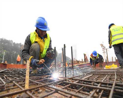 为什么猫一直闻我身上的味道？猫咪每天要晒多久太阳？