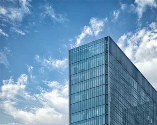 别人都在养狗，你为什么可以养球？