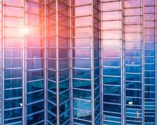 柴犬脚掌肉垫颜色变红是怎么回事？大家要知道，可能是这些原因