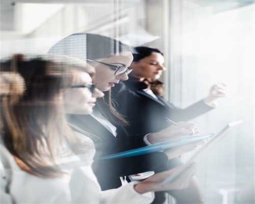 猫咪不怎么吃猫粮怎么办