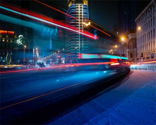 铲屎官劝退指南：博美犬不能养的16个理由