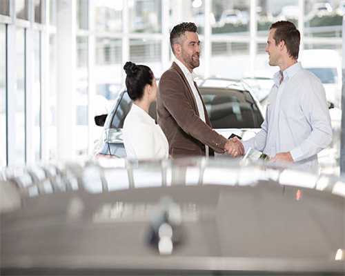 怎样才能养好“暹罗猫”？做好这6点，就能拥有帅气的贵族猫