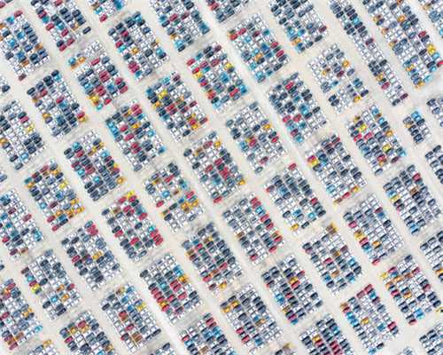 拉布拉多到底有多爱生病？