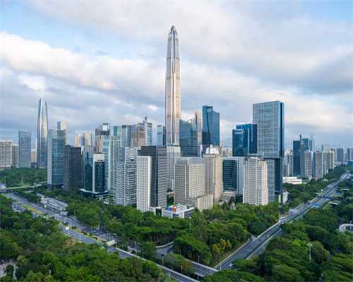 猫咪眼睛反光，打算网上咨询兽医，哪知道兽医一张口就让我崩溃！