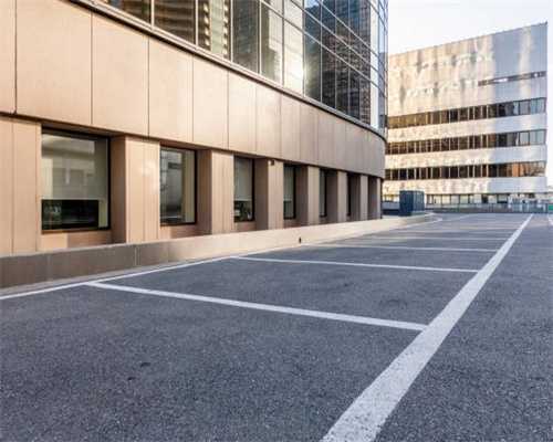 关于夏天养狗的一些小总结