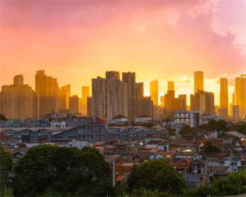 经典国粹金鱼-皇冠珍珠