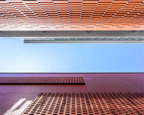 狗狗的这4个部位，主人再生气也不能打