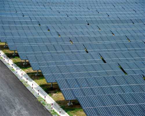 原来是这样的狗！狗狗的秘密你知道多少