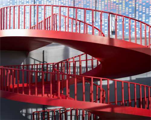 藏獒vs比特犬，谁才是真正的狗中之王？