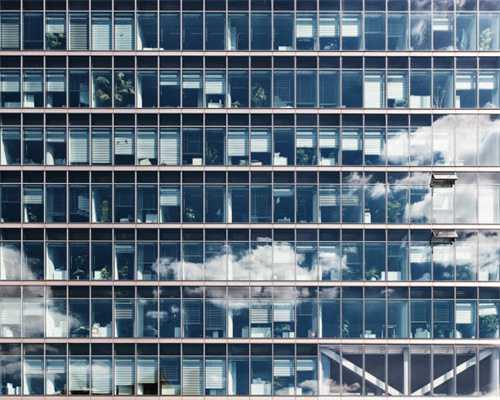 盘点最易生病和不易生病的中小型犬，希望你养对了狗