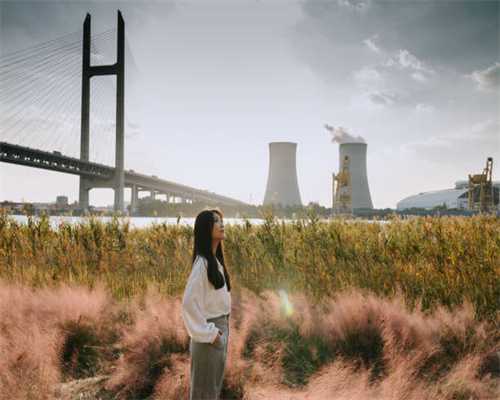 为什么狗狗吃饭时爱扒拉狗碗？了解这些小动作的意义，你会更懂它