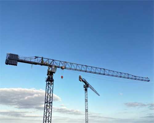 狗子很“脆弱”的几个部位，哪怕是犯错，都不能打