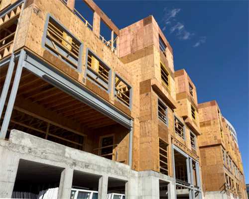 冠军犬这么风光，都是饿出来的！