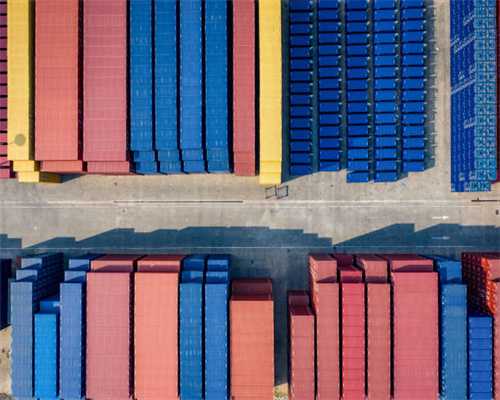 狗狗为什么要断尾？解密狗狗断尾术和截耳术