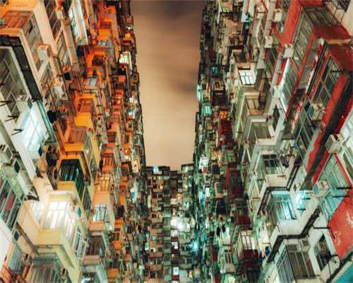 若一只猫已经把你当“亲妈”了，就会有这7种迹象