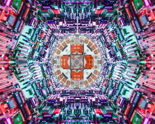 细犬越来越少人养？因为太可怕了，没人敢养了