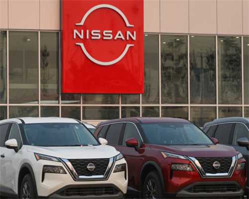 疫情扩散的春节应该“囤”哪些宠物用品？