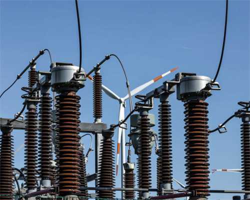 确认无误，你是真的“云南猫！”-猫咪偷吃牛肝菌中毒，治疗近4小时