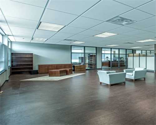 猫不小便也不怎么吃东西