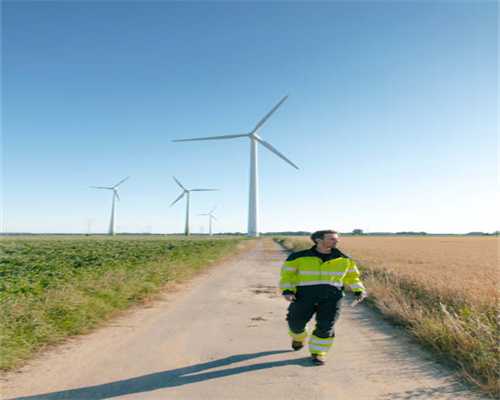 如何远离潜伏在宠物身上的“隐形杀手”