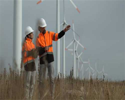 壹现场丨信元发育宝下架涉事猫粮 猫主人们还有这些诉求