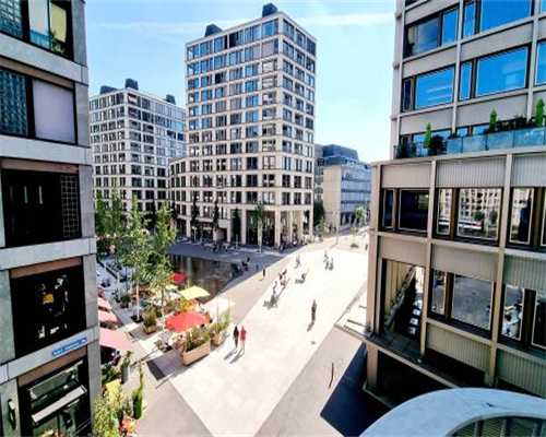 主人常做这5件事，会缩短猫咪的寿命