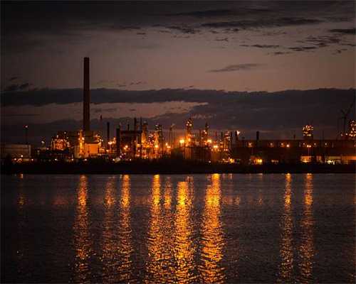 中国毛色最纯黑的两大神犬：黑熊犬和黑狼犬，都是精英犬