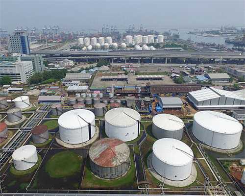 判断猫主子是否喜欢自己，看它有没有这6个举动，没有就需要努力