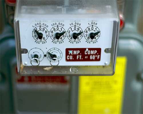 狗狗总爱“舔”你，其实它是想告诉你这5句话