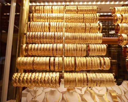 养狗后成了“奴才”，为何狗狗反映：“狗生艰难”！