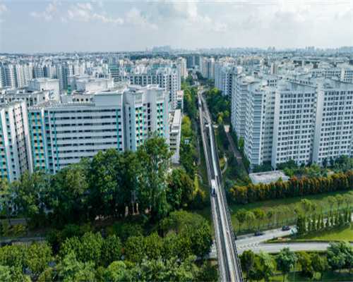 新生小猫咪的成长发育