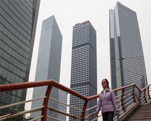 猫罐头和猫粮，到底哪个好一些？