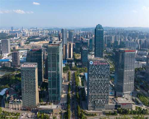 猫咪“身体部位”冷知识，你了解几个？