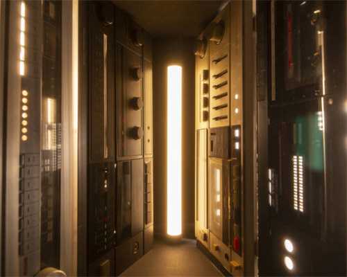 幼猫喂养，铲屎官入门必看，带你终结新手任务