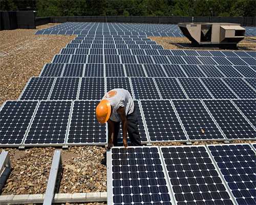 农村经常遇到的它们，却都是保护植物，记住其特性别破坏和采挖