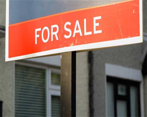 不做广告的B站UP主，从北京来杭州创业，靠卖猫 粮实现人生逆袭