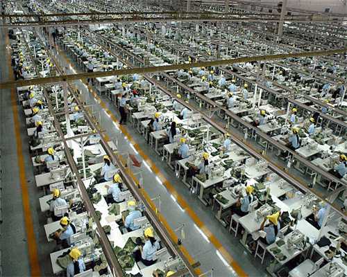 全世界最自律！狗狗每晚十点等睡觉