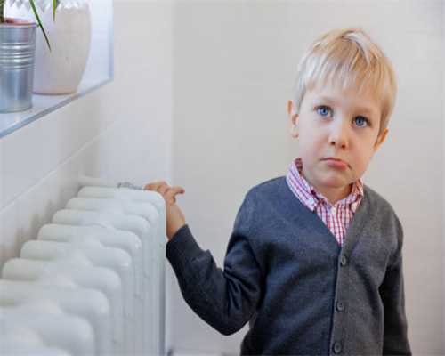 浅谈未来十年内潜力最大的三个龟种