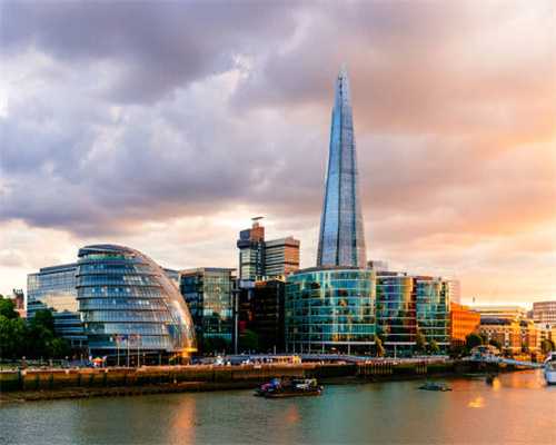 狗狗可以吃蔬菜吗？哪些蔬菜狗狗爱吃？