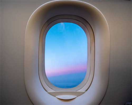 安静不吵闹的6种狗，适合在小区养