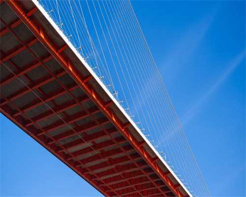 常见鸽病大全 - 收藏起来有用