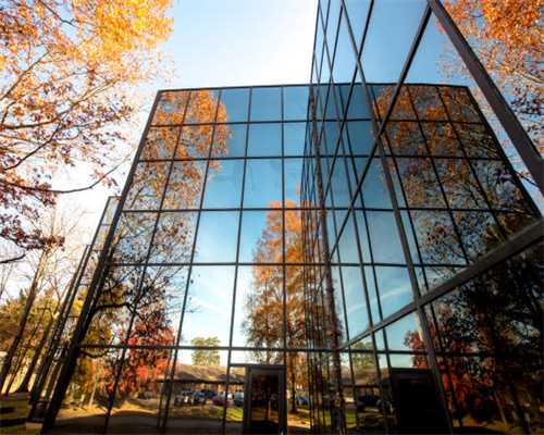 出人意料 每天喂狗的次数和狗狗的健康之间存在显著关联