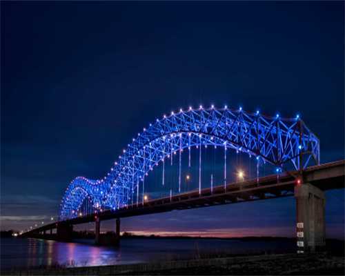 引起狗肥胖的4个原因，很多主人做了第一条