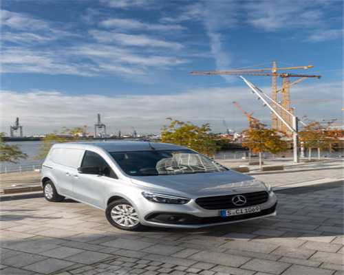 它的柔情，你应该懂才对｜行为