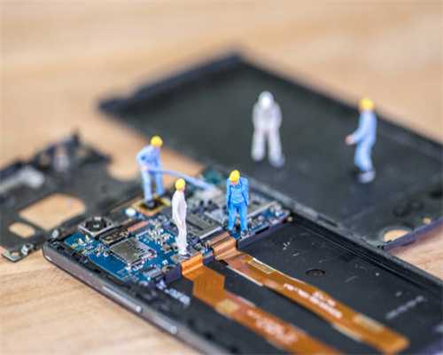 鹦鹉鱼的饲养知识，你知道吗？