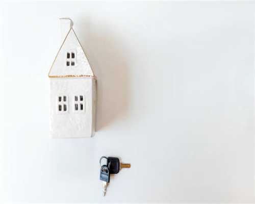 养美短猫一定要牢记“八不要”，对它有益