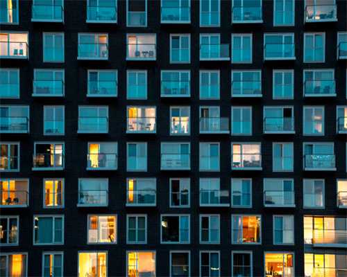 如何教会猫咪用猫砂盆？新手铲屎官，这些技能你学会了吗？