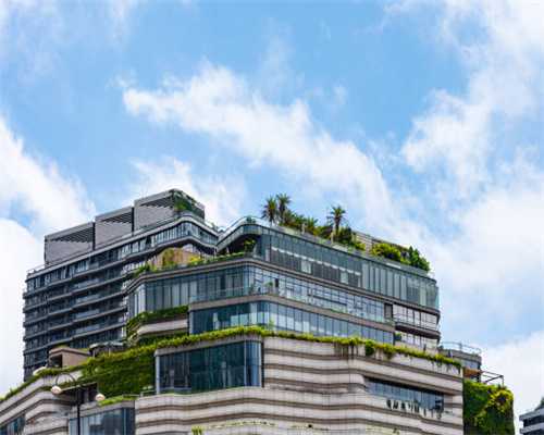 宠物狗每天都在睡觉，是生病了吗？宠物犬睡觉那些事知多少？