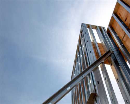 狗狗骨折了怎么办？看完这篇你就知道了