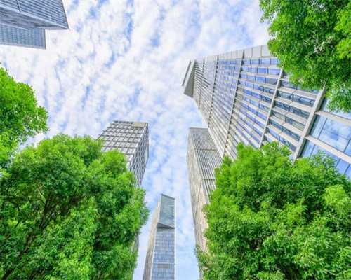 主人晒出家里狗狗小时候和现在的对比照，全网被萌哭